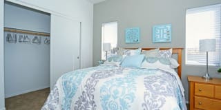 Diamond Vista Gallery 31