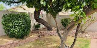 7798 E Buteo Drive Gallery 14