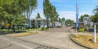 Discover Your Corvallis Escape: Near the River, Trails, and Parks Gallery 13