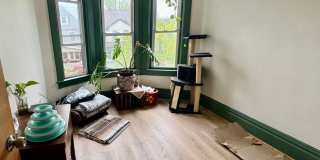 Newly renovated spacious 4 bedroom home in Sheraden - AVAILABLE OCTOBER! Gallery 37