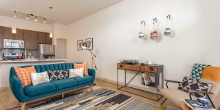 Agave Gallery 22