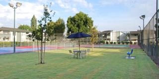 PARKWOOD APARTMENTS Gallery 7