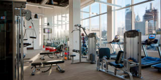 Dalian on the Park Gallery 15