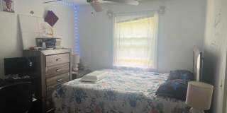 290 Mount Vernon Street Gallery 1