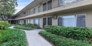 Saddleback Pines Gallery 1