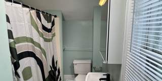 4-Bedroom Near U-M with Bonus Room, Big Backyard & Front Porch Gallery 18