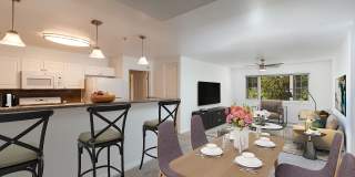 Parke Orcutt Gallery 10