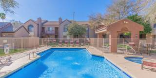 Morrison in Mesa Gallery 20