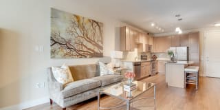 Element 47 by Windsor Gallery 9