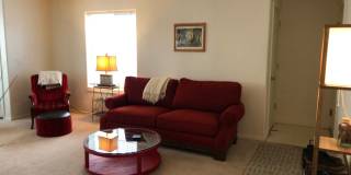 2 Bedroom, 2 Bathroom Centrally Located Condo Gallery 4