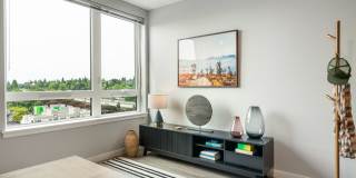 Theo Gallery 10