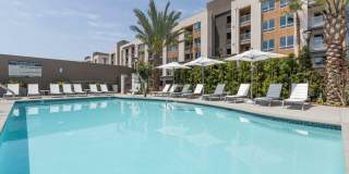 770 South Harbor Gallery 30