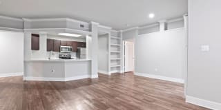 Carrara at Cole Gallery 16