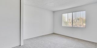 Terrace Oak Gallery 6