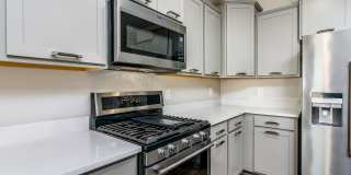 38128 W San Sisto Avenue Gallery 17