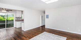 Park Lafayette Gallery 101