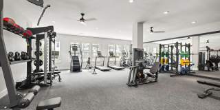 Solis Birkdale Gallery 28