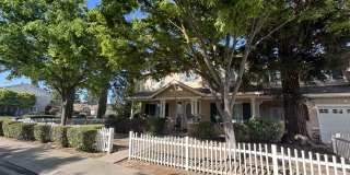 4101 Rose Parade Gallery 1