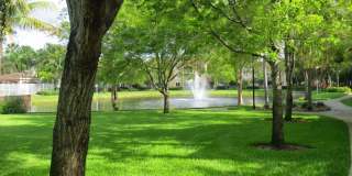 3874 Lyons Rd#201-6 Gallery 31