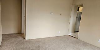 Highlands 1 Bedroom 1 Bath w/ Yard and Laundry! Gallery 11