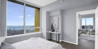 Pinnacle on the Park Gallery 26