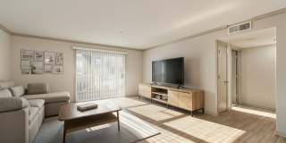 Buckhead and Vine Gallery 13