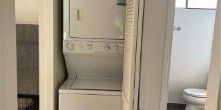 47 Grenada Street Gallery 12