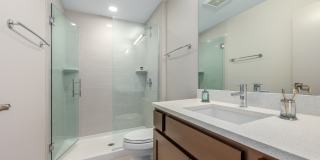 The Standard The Standard Gallery 29