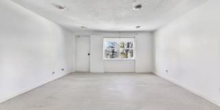 15 Longworth Ave Gallery 3