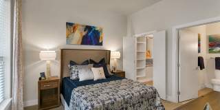 Aster Apartments Gallery 9