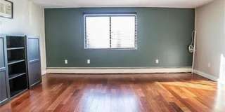 66 Girard Avenue unit: 215 Gallery 12