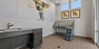 The Summit At Walnut Creek Gallery 23