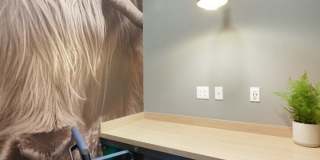 The Yards and Backyards Apartments Gallery 82