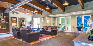 Madison Rockwood Gallery 22