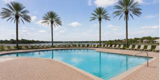 1/1 Lakefront Living in Carrollwood! Available July 10th! Gallery 19