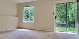 7921 Rustling Bark Ct Gallery 1