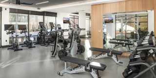 Solis Dresden Village Gallery 16