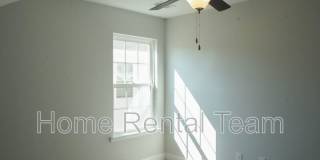 25 Sago Palm Way Gallery 41