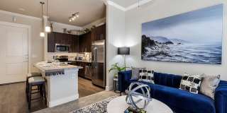 Active Adult- Ivy Point Cypress Active Adult- Ivy Point Cypress Gallery 5