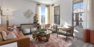 Alta Surprise Alta Surprise Gallery 1