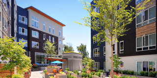 Kirkland Crossing Gallery 10