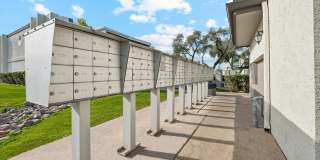 San Rivello Gallery 5