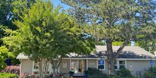 Westdale Commons Gallery 12