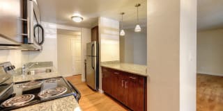 The Retreat Apartments Gallery 47