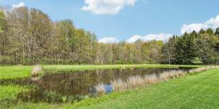 3508 Bushwillow Drive Gallery 42