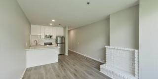 Telegraph Hill Gallery 8