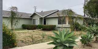 North West Pet Friendly Home Gallery 22