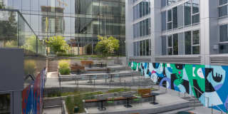 The Merian Gallery 65