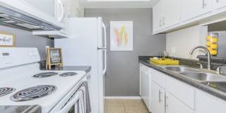 Rise on Cactus Gallery 49