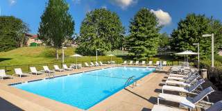 Stonecliffe Gallery 15